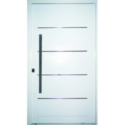 Nexo galvanizada Puerta inyectada pivot ciega - Derecha -115x205 - GP501