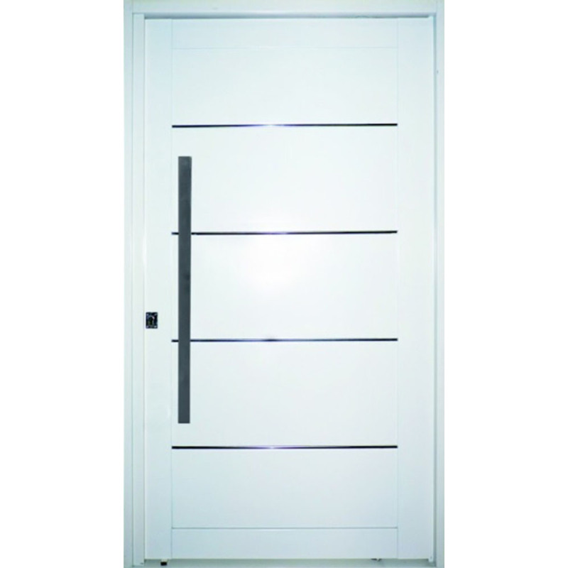 Nexo galvanizada Puerta inyectada pivot ciega - Derecha -115x205 - GP501