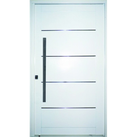 Nexo galvanizada Puerta inyectada pivot ciega - Derecha -115x205 - GP501
