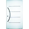 Nexo galvanizada Puerta inyectada pivot ciega - Derecha -126x226 - GP500