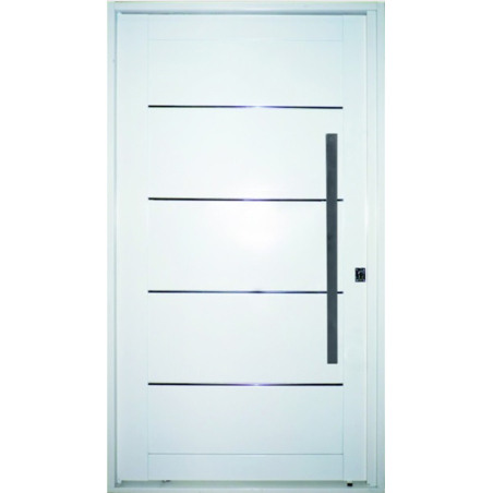 Nexo galvanizada Puerta inyectada pivot ciega - Izquierda -115x205 - GP501