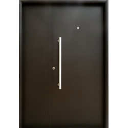 Nexo galvanizada puerta inyectada lisa ciega horizontal con aplique - derecha