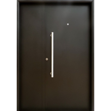Nexo galvanizada puerta inyectada lisa ciega horizontal con aplique - derecha 132 - G077