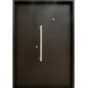 Nexo galvanizada puerta inyectada lisa ciega horizontal con aplique - derecha 132 - G077