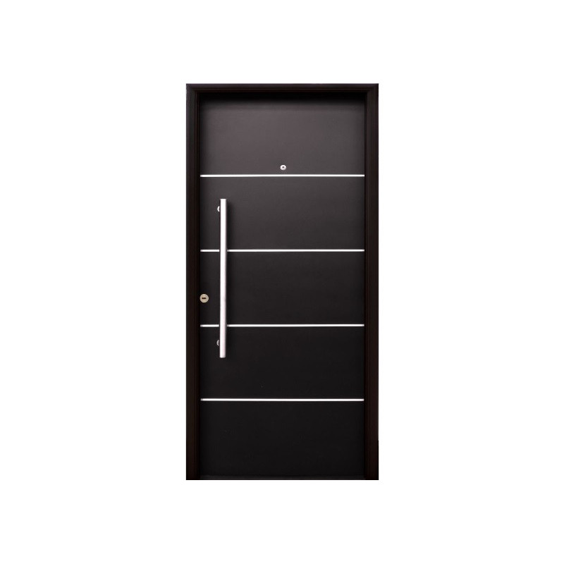 Nexo galvanizada puerta inyectada 5 tableros horizontal - Detalles en acero inoxidable (Derecha) 80cm - G090