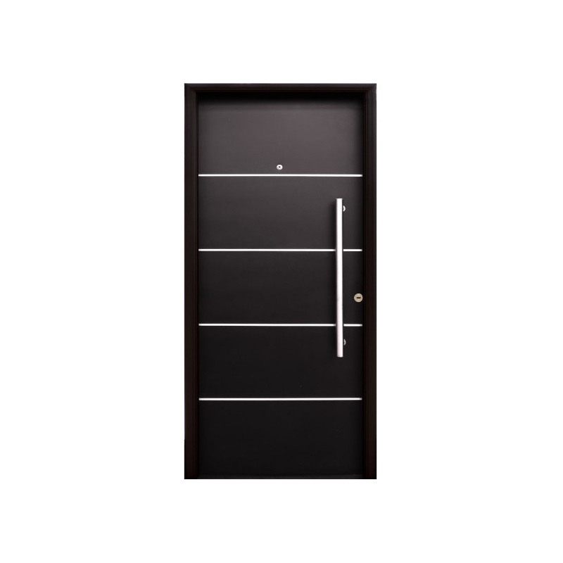 Nexo galvanizada puerta inyectada 5 tableros horizontal - Detalles en acero inoxidable (Izquierda) 80cm - G090