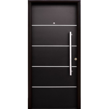 Nexo galvanizada puerta inyectada 5 tableros horizontal - Detalles en acero inoxidable (Izquierda) 80cm - G090