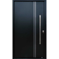 Nexo galvanizada Puerta inyectada pivot negra ciega - Izquierda -126x226 - PG070