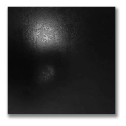 Lourdes Negro plus 56x56cm