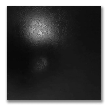 Lourdes Negro plus 56x56cm