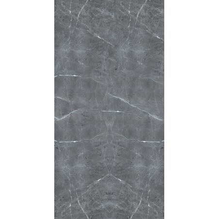 Placa de PVC 1.22x2.44m (1.5mm) Grey brillante - X unidad