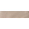 Eliane Prisma Greige Brillante 7x25cm
