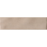 Eliane Prisma Greige Brillante 7x25cm