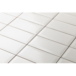 Eliane Metro white AC 10x20cm