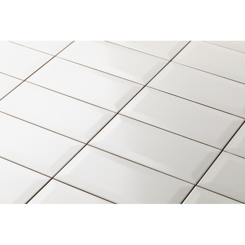 Eliane Metro white AC 10x20cm
