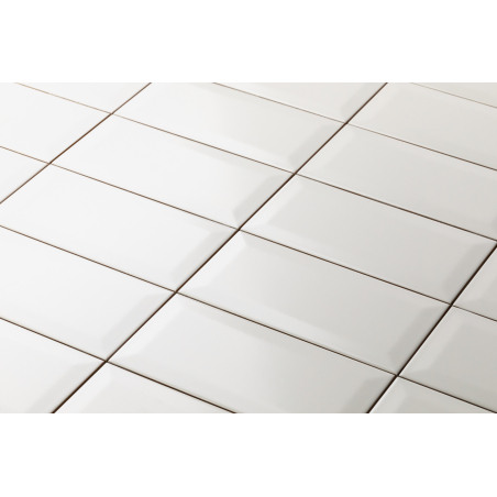 Eliane Metro white AC 10x20cm