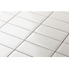 Eliane Metro white AC 10x20cm