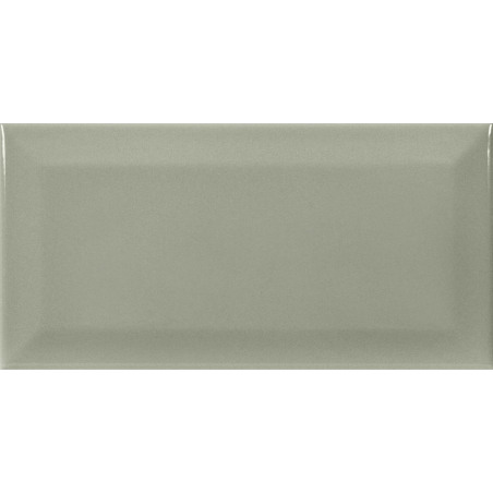 Eliane Metro sage 10x20cm