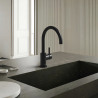 Grifería Discovery Monocomando Cocina Curvo Negro - Hidromet