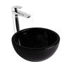 Bacha Ferrum Persis negra LWPF-N