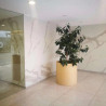 SPL 6mm Pietra beige Texturado 60x120cm