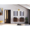 Vanitory Uniq Schneider 60cm - Colgante - Dos cajones - Oliva - Con tapa - Sin bacha