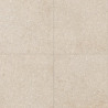 Cerro Negro Creta Beige 51x51cm