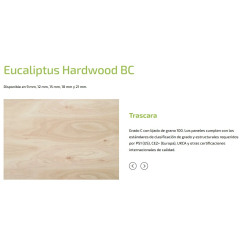 Fenólico 1.22x2.44m x 18mm Eucalipto BDX 2-4 (UR)