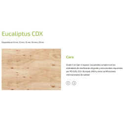 Fenólico 1.22x2.44m x 18mm Eucalipto CDX 4-4 (UR)