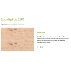 Fenólico 1.22x2.44m x 18mm Eucalipto CDX 4-4 (UR)