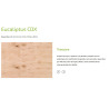 Fenólico 1.22x2.44m x 18mm Eucalipto CDX 4-4 (UR)