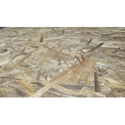 OSB APA Protec 1.22x2,44m x 9.5mm - Chile