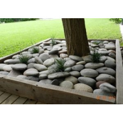 Piedra Jardin Platillo Rio x 25Kg