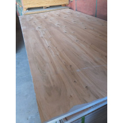 Fenolico 1.22x2.44m x 18mm Pino 5-5 Terciplak
