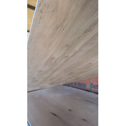 Fenolico 1.22x2.44m x 18mm Pino 5-5 Terciplak