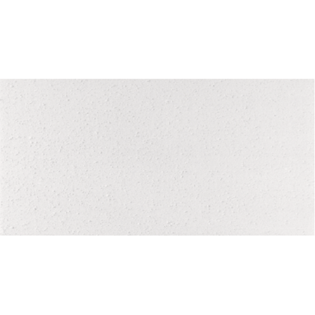 CIELORRASO HORPAC EKO 122X61CM X UNIDAD CIELORRASO HORPAC EKO 122X61CM X UNIDAD
