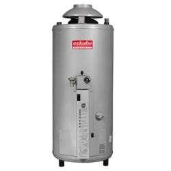 Eskabe acquaPIU termotanque A5 52 litros multigas salida de gases 5" vertical