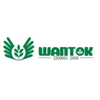 Wantok