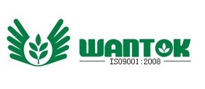 Wantok